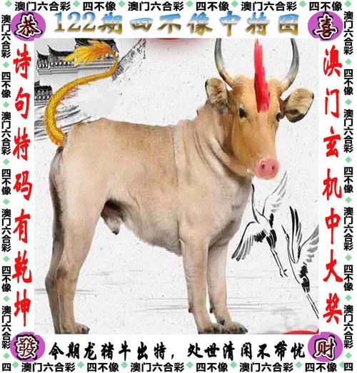 2024年11月18日 第3页