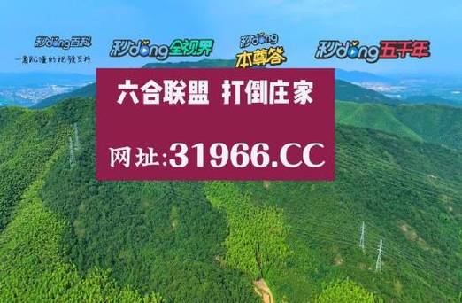 2024年11月20日 第10页