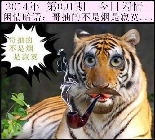 整版DKJ 第208页
