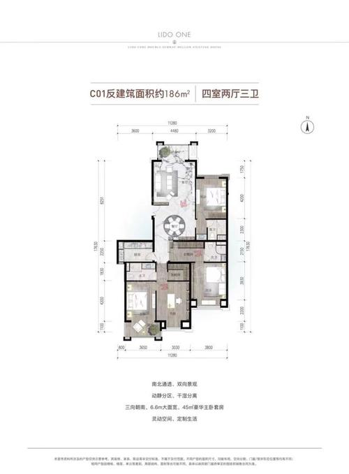 2024年11月23日 第10页