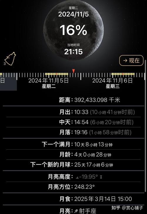 2024年11月23日 第8页
