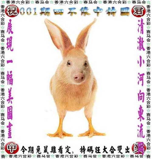 澳门最快开奖网,设计策略快速解答_VR型43.237