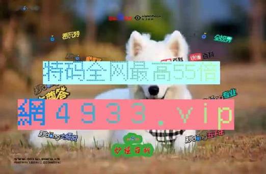 2024年11月24日 第4页