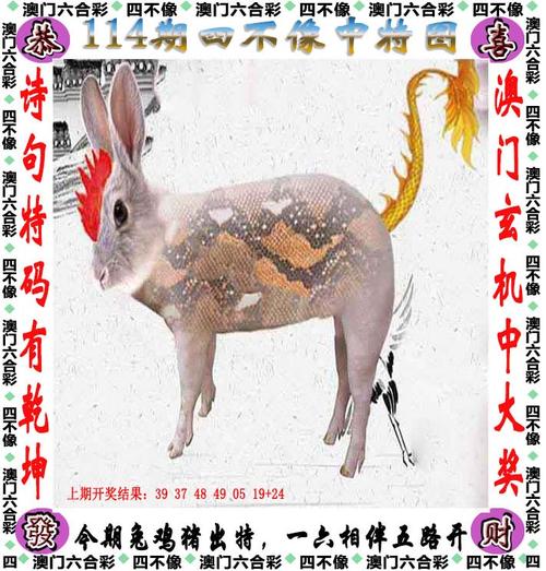 六澳门开奖号码开奖结果,设计策略快速解答_VR型43.237