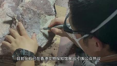 香港开奖现场直播香港,绝对策略计划研究_社交版40.12.0