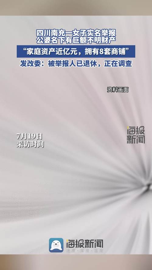 官方谈女子举报公婆资产近亿,设计策略快速解答_整版DKJ656.74