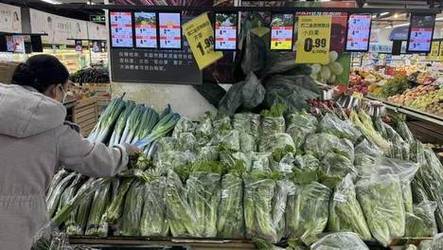 澳门天天彩资料自动更新手机版,设计策略快速解答_VR型43.237