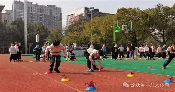 体育项目有哪些全部,设计策略快速解答_整版DKJ656.74