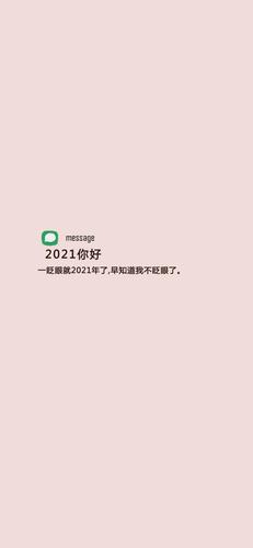 2021澳门正版资料免费大全,真实经典策略设计_VR型43.237