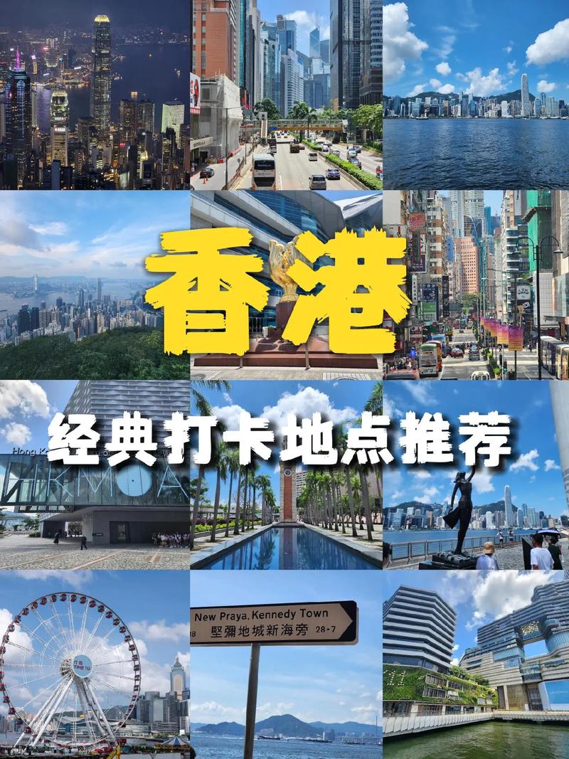 香港.一码一肖资料大全,绝对策略计划研究_社交版40.12.0