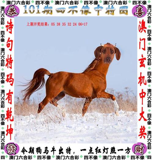 白小姐中特网最快开奖,绝对策略计划研究_社交版40.12.0