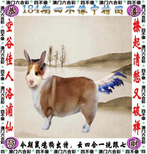第533页