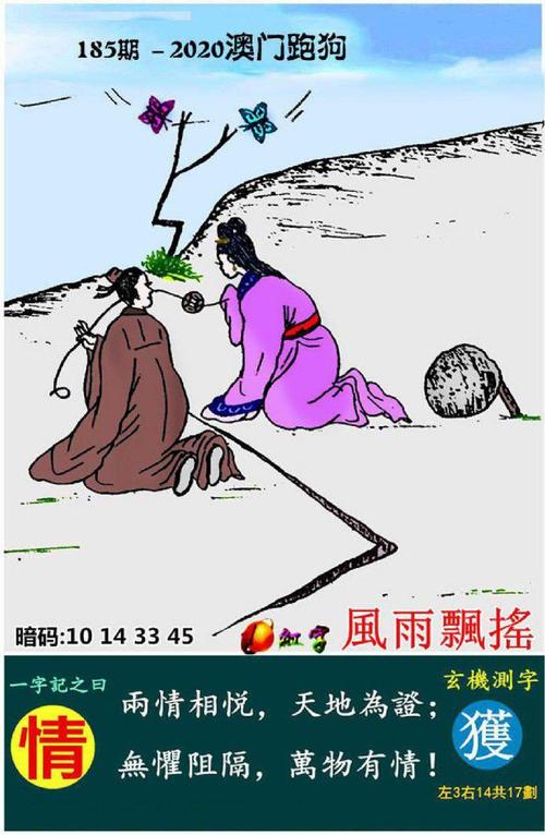 最新澳门六合免费资料,设计策略快速解答_整版DKJ656.74