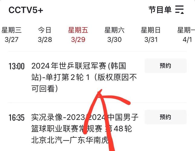 cctv体育赛事频道直播,设计策略快速解答_整版DKJ656.74