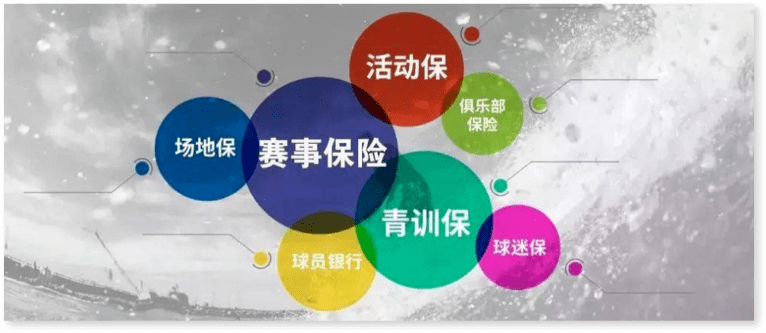 体育赛事保险,设计策略快速解答_整版DKJ656.74