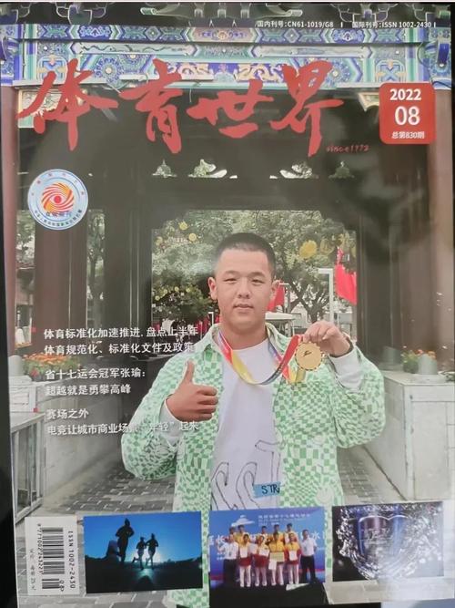 国内体育类期刊,真实经典策略设计_VR型43.237