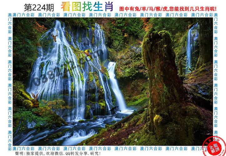 看香港正版精准特马资料,设计策略快速解答_VR型43.237
