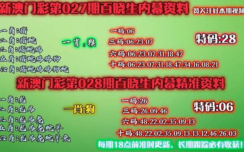澳门女人味六肖正版资料2021年,设计策略快速解答_整版DKJ656.74