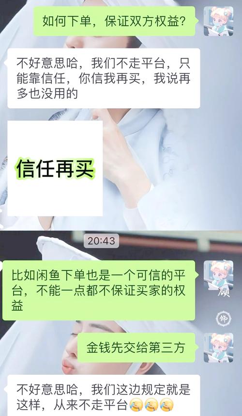 女子找黄牛买票23分钟被骗23万,设计策略快速解答_整版DKJ656.74